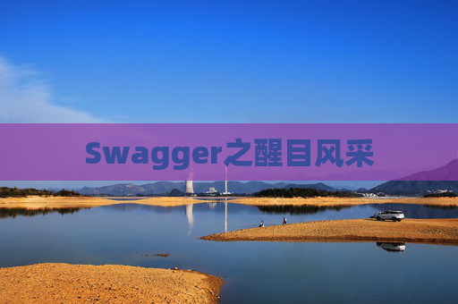 Swagger之醒目风采